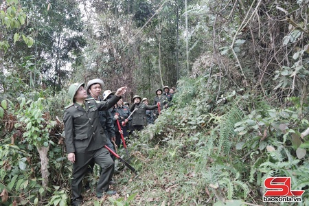 Giữ những cánh rừng thêm xanh