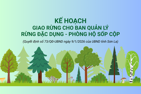 Kế hoạch giao rừng cho Ban quản lý rừng Đặc dụng - Phòng hộ Sốp Cộp
