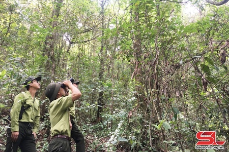 Bảo vệ các loài động vật hoang dã quý hiếm