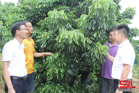 Đưa vốn tín dụng "phủ sóng" bản làng