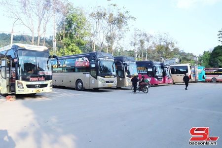 Nhộn nhịp những chuyến xe dịp Tết