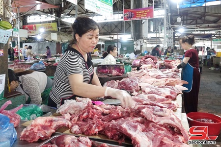 Giá lợn hơi tăng, người chăn nuôi phấn khởi