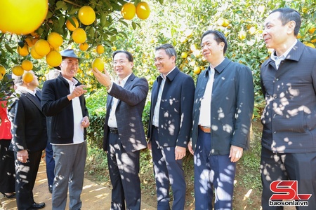 Phát triển nông nghiệp bền vững, ứng dụng công nghệ cao