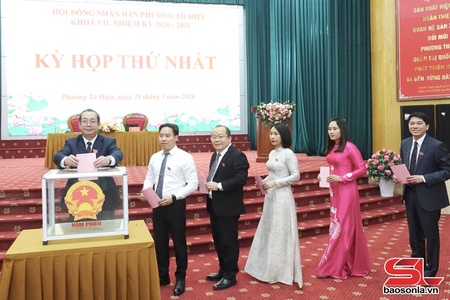 Kiện toàn bộ máy bảo đảm chính quyền hoạt động hiệu quả