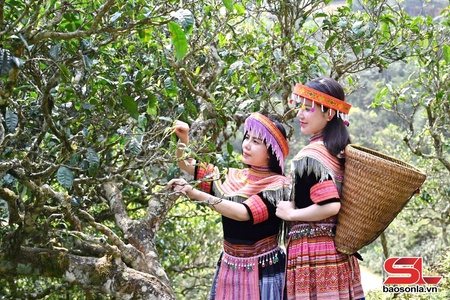 “Dân vận khéo” ở xã vùng cao Tà Xùa
