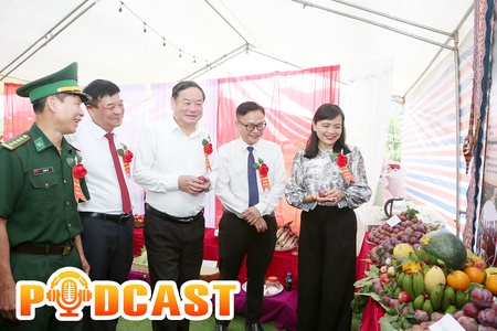 Bản tin Podcast ngày 9/5/2026