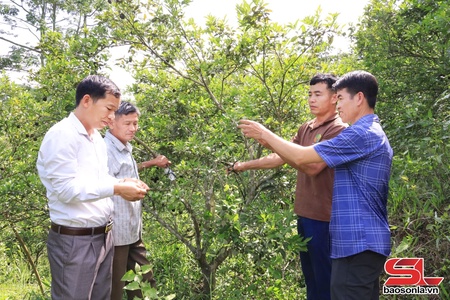 Cà Pống nỗ lực vươn lên