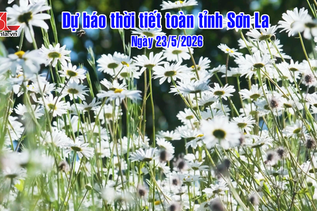 Dự báo thời tiết toàn tỉnh Sơn La ngày 23/5/2026
