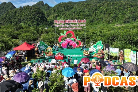Bản tin Podcast ngày 24/5/2026