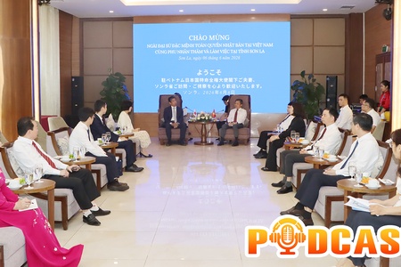 Bản tin Podcast ngày 6/6/2026