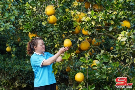 Đa dạng và nâng cao giá trị các loại nông sản
