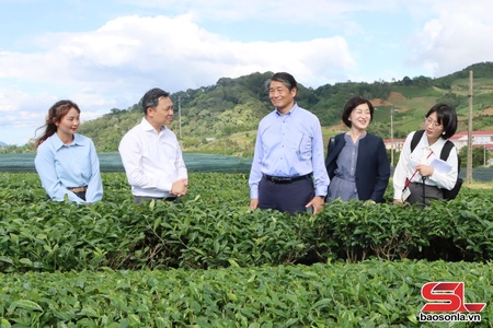Tăng cường đối ngoại, mở rộng hợp tác quốc tế