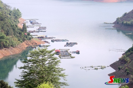 Nỗ lực tìm đầu ra ổn định cho thủy sản