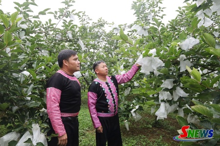 Dòng họ học tập tiêu biểu