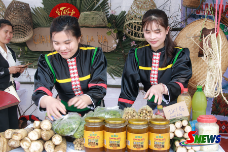 Nghề nuôi ong mật núi đá ở Chiềng Lao