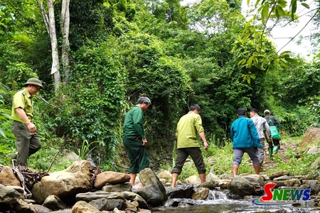 Mường Bang phát huy vai trò cộng đồng trong bảo vệ rừng