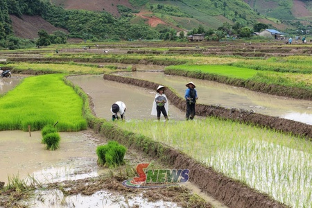 Phát huy vai trò hạt nhân lãnh đạo phát triển kinh tế
