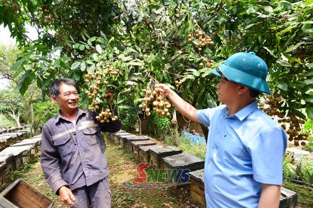 Yên Sơn ngày mới
