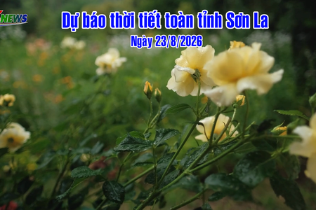 Dự báo thời tiết toàn tỉnh Sơn La ngày 23/8/2026
