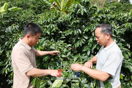 Bản tiêu biểu nông thôn mới ở Mường Chanh