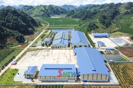 Thu hút đầu tư nâng cao giá trị cà phê Arabica Sơn La