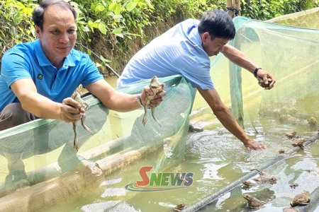 Đảng viên xã Đoàn Kết tiên phong phát triển kinh tế