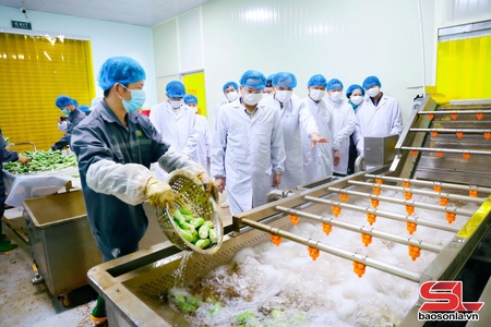 Đẩy mạnh xúc tiến, hỗ trợ doanh nghiệp phát triển bền vững