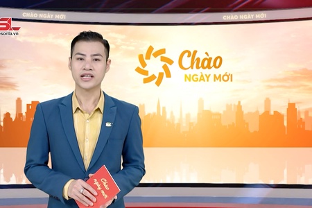 Chào ngày mới 11/2/2026