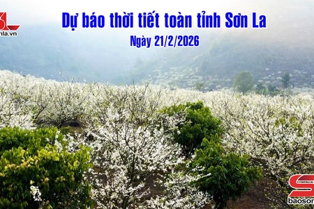  Dự báo thời tiết toàn tỉnh Sơn La ngày 21/2/2026
