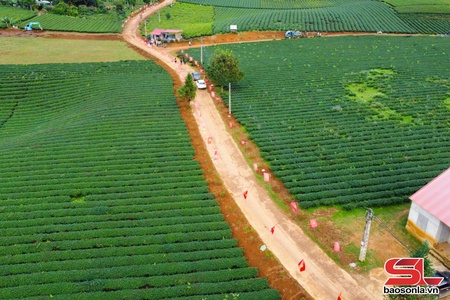 Bình Thuận khát vọng xây dựng nông thôn mới