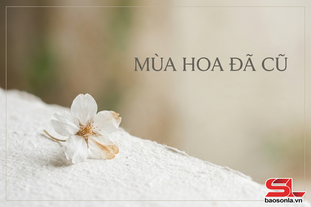 Mùa hoa đã cũ