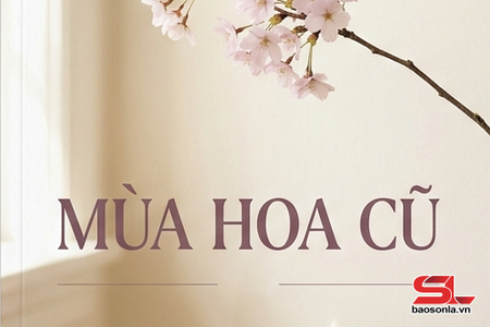 Mùa hoa đã cũ