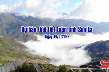 Dự báo thời tiết toàn tỉnh Sơn La ngày 14/04/2026