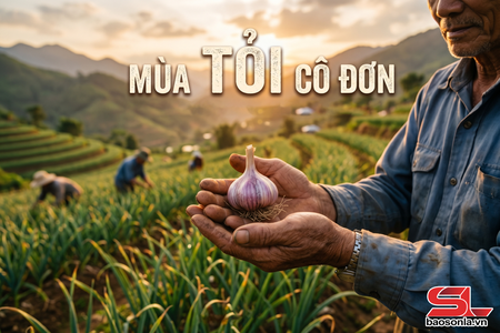 Mùa tỏi cô đơn