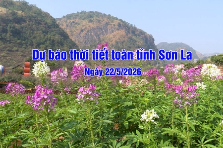 Dự báo thời tiết toàn tỉnh Sơn La ngày 22/5/2026