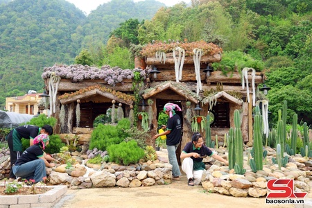 Chợ Sen đá trên cao nguyên