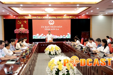 Bản tin Podcast ngày 25/5/2026