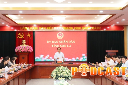 Bản tin Podcast ngày 8/9/2026