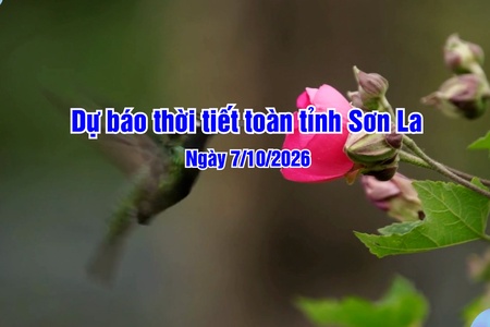 Dự báo thời tiết toàn tỉnh Sơn La ngày 07/10/2026