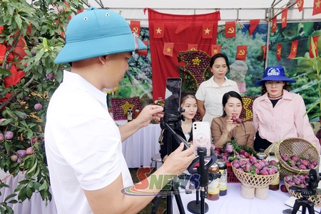 Nâng cao năng lực số cho HTX nông nghiệp