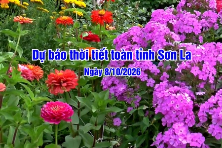 Dự báo thời tiết toàn tỉnh Sơn La ngày 08/10/2026