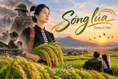 Sóng lúa