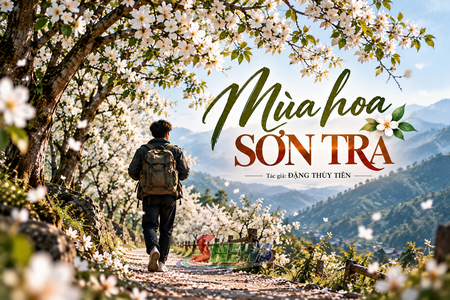 Mùa hoa sơn tra