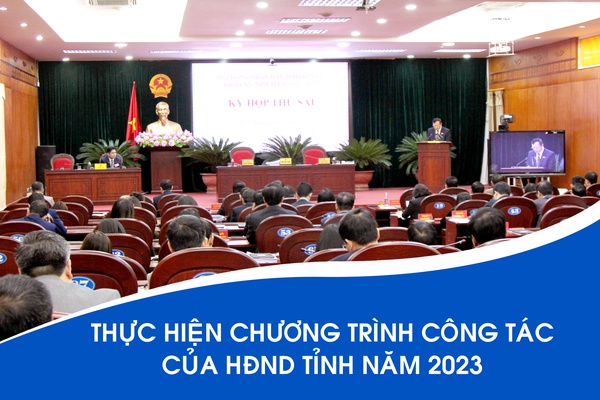 [Infographic] Thực hiện Chương trình công tác của HÐND tỉnh năm 2023