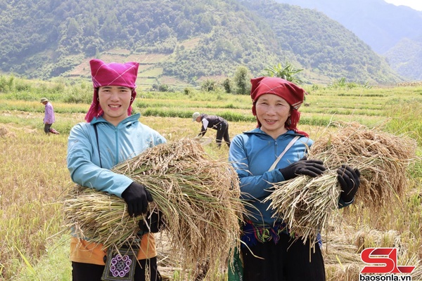 Sắc màu nông nghiệp Ngọc Chiến  