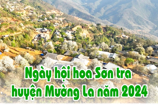 Ngày hội hoa Sơn tra huyện Mường La năm 2024