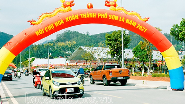 Đa dạng sắc hoa ngày Tết