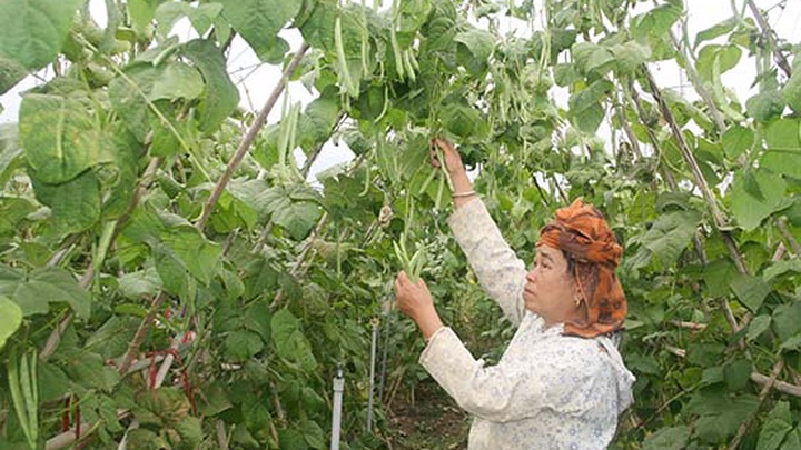 Khởi sắc Mường Bon