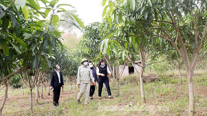 Bảo đảm nguồn vốn cho phát triển nông nghiệp, nông thôn