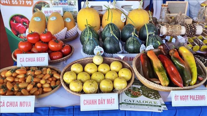 Sơn La: Chuẩn hóa vùng trồng, tăng giá trị xuất khẩu nông sản